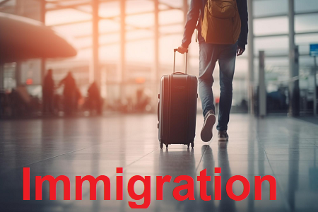 مهاجرت چگونه است؟