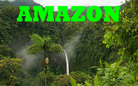جنگل آمازون