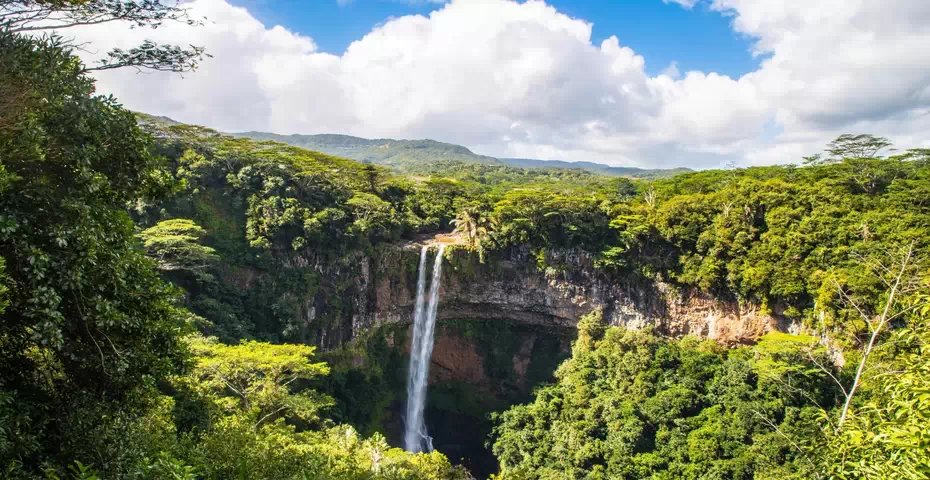 جنگل های آمازون؛ ریه های زمین