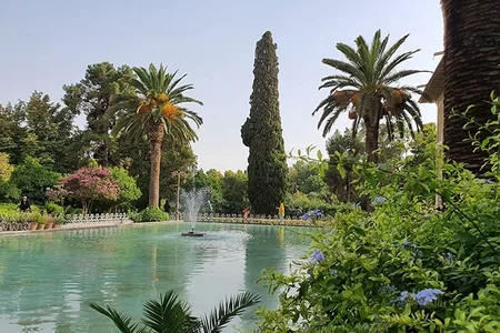 باغ ارم شیراز؛ تجربه‌ ای که هر عاشق طبیعت و تاریخ را مسحور می‌ کند