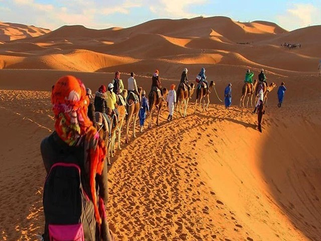 شتر سواری در کویر مصر ایران