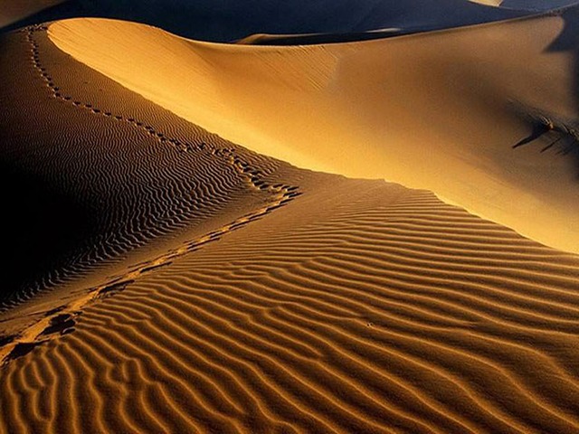 رمل های سنی در کویر مصر