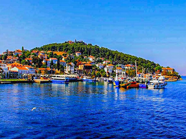 طبیعت پاییزی در جزیره بیوک آدا استانبول