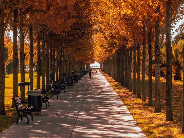 طبیعت پاییزی استانبول