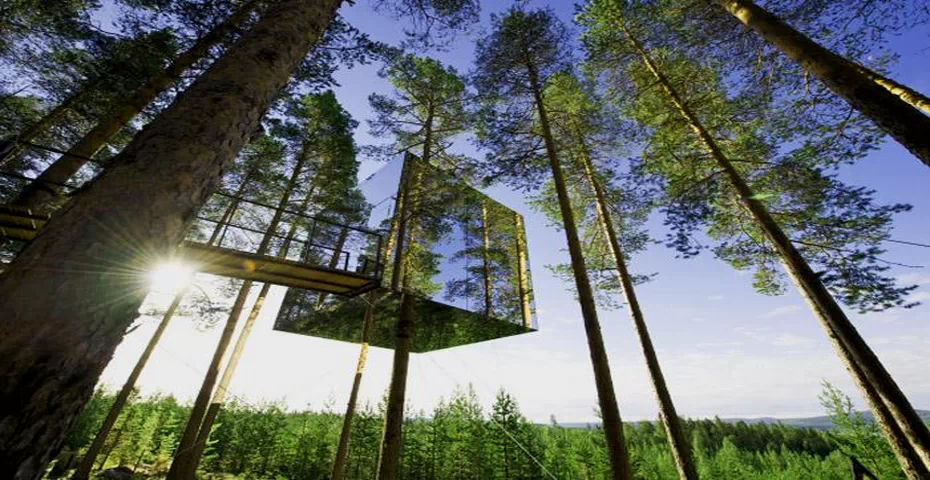 Treehotel